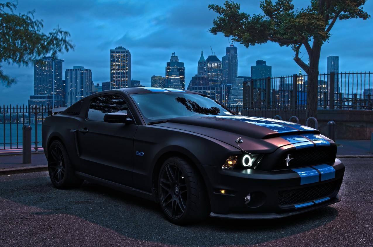 fordmustang,shelbygt,停车场,车市