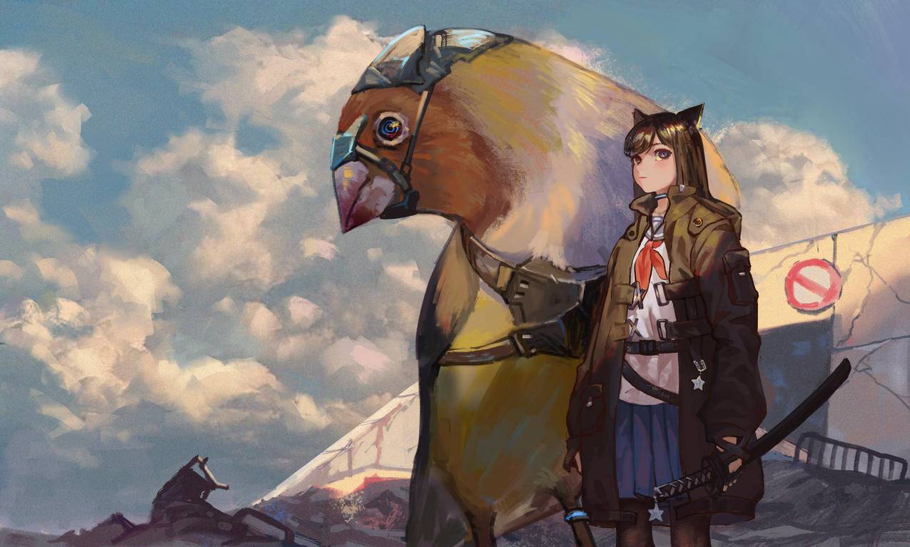 animegirls,动漫,鸟类,动物,武士刀,云,剑