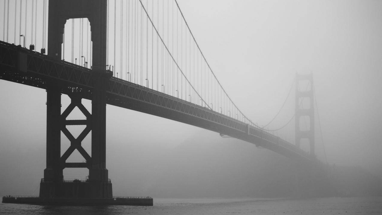 桥,雾,海,单色,GoldenGateBridge
