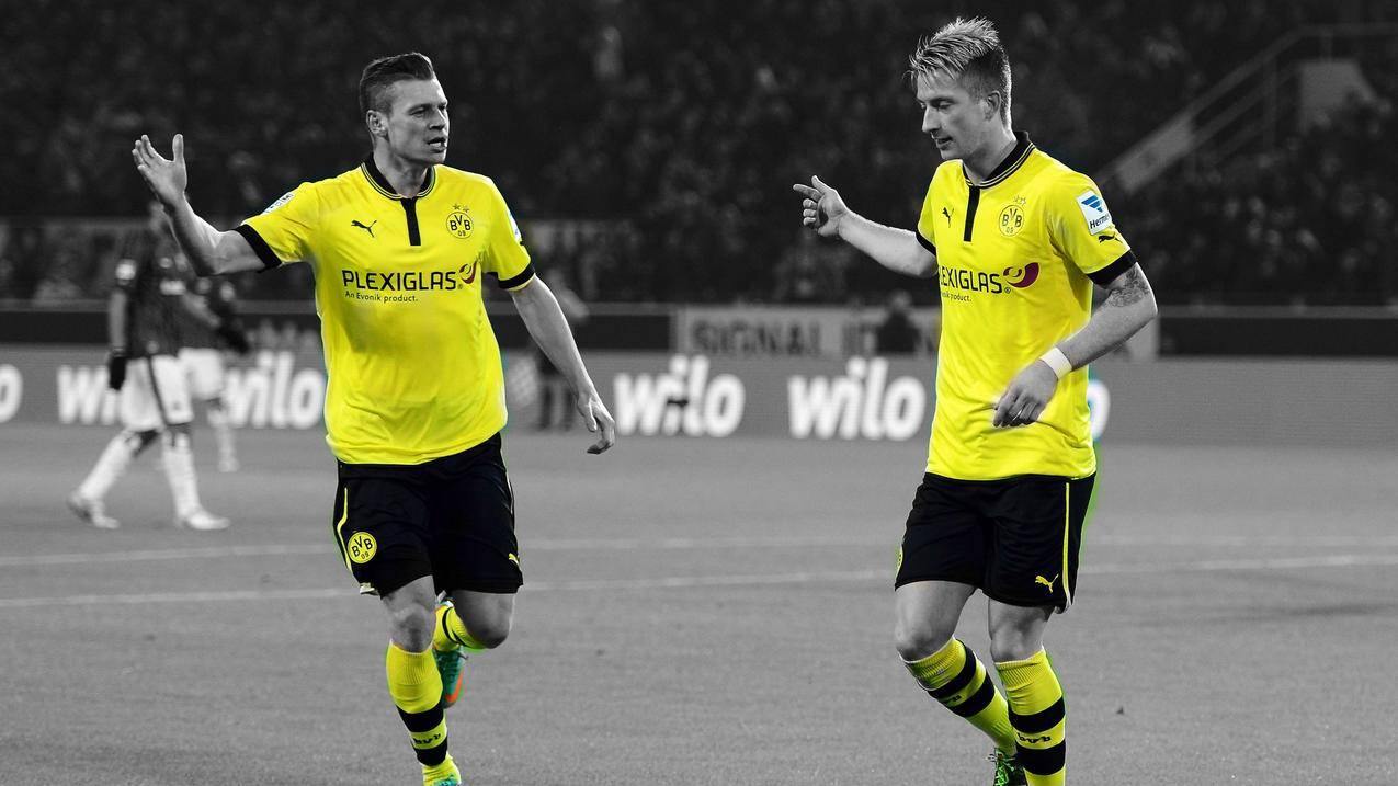男子,选秀,体育,足球,BVB,BorussiaDortmund