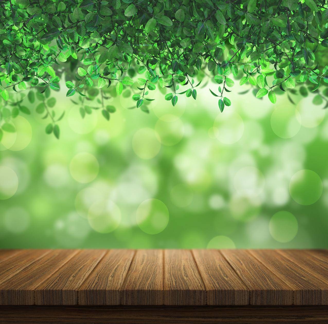树叶,绿色的背景,木板,5K背景图片