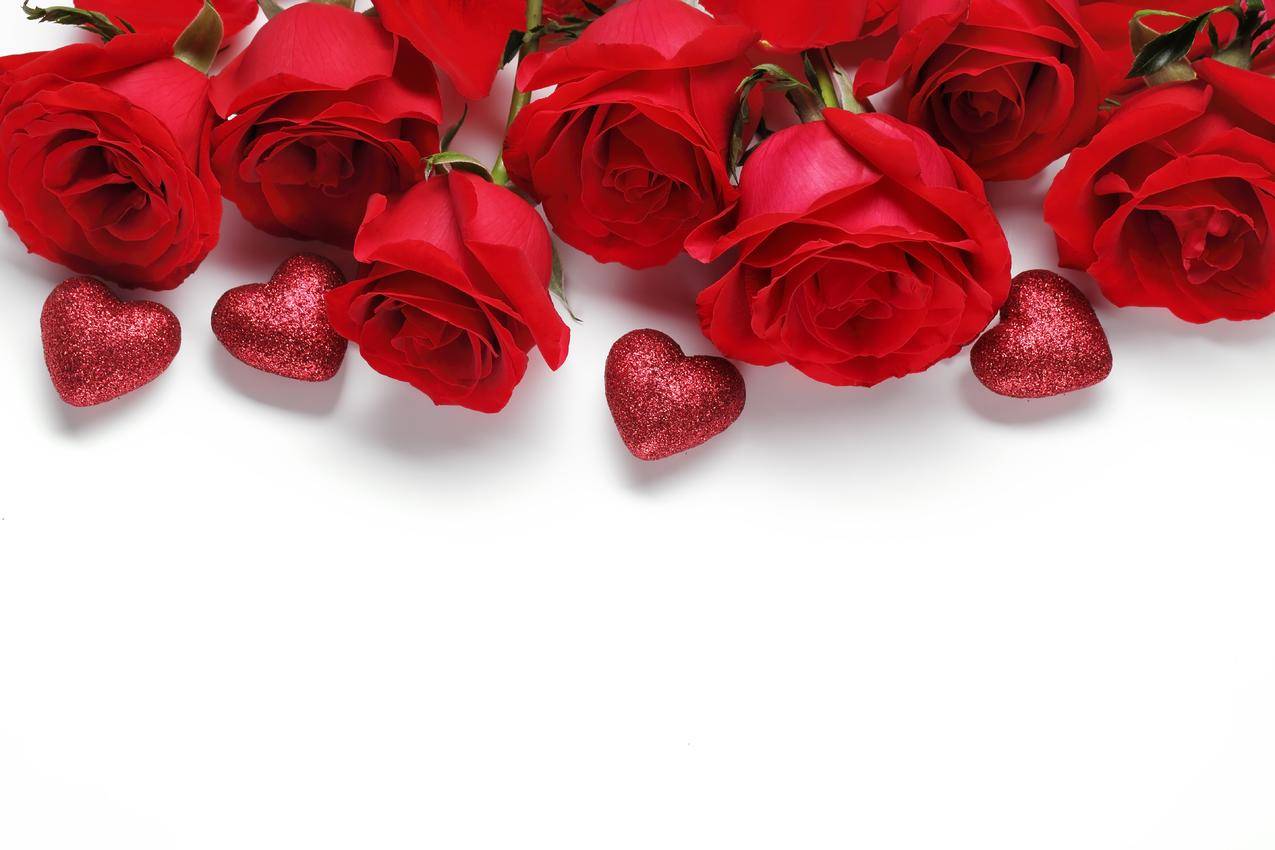 红色玫瑰,心,白色背景,情人节5k图片