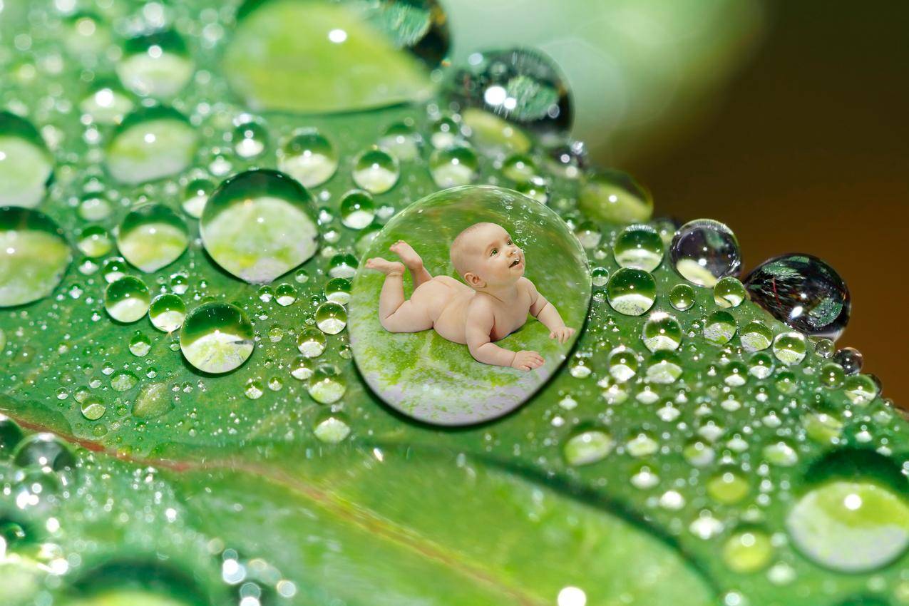 水滴,绿色叶子,婴儿,孩子,创意5k图片