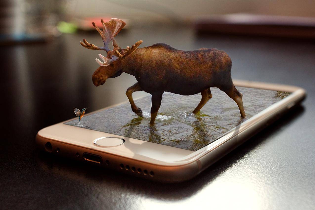 驼鹿,3d,电话,智能手机,创意设计,5K图片