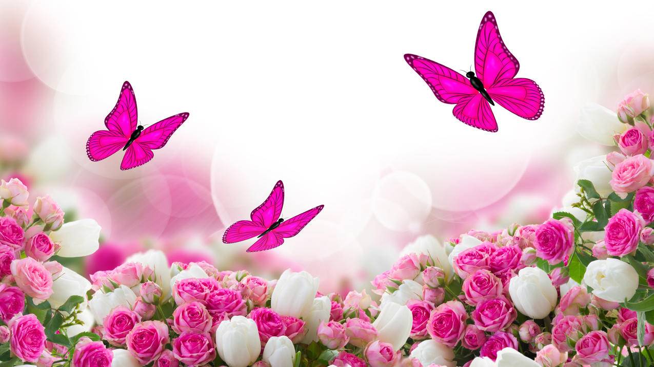 玫瑰,郁金香花,蝴蝶,背景图片,3840x2160壁纸