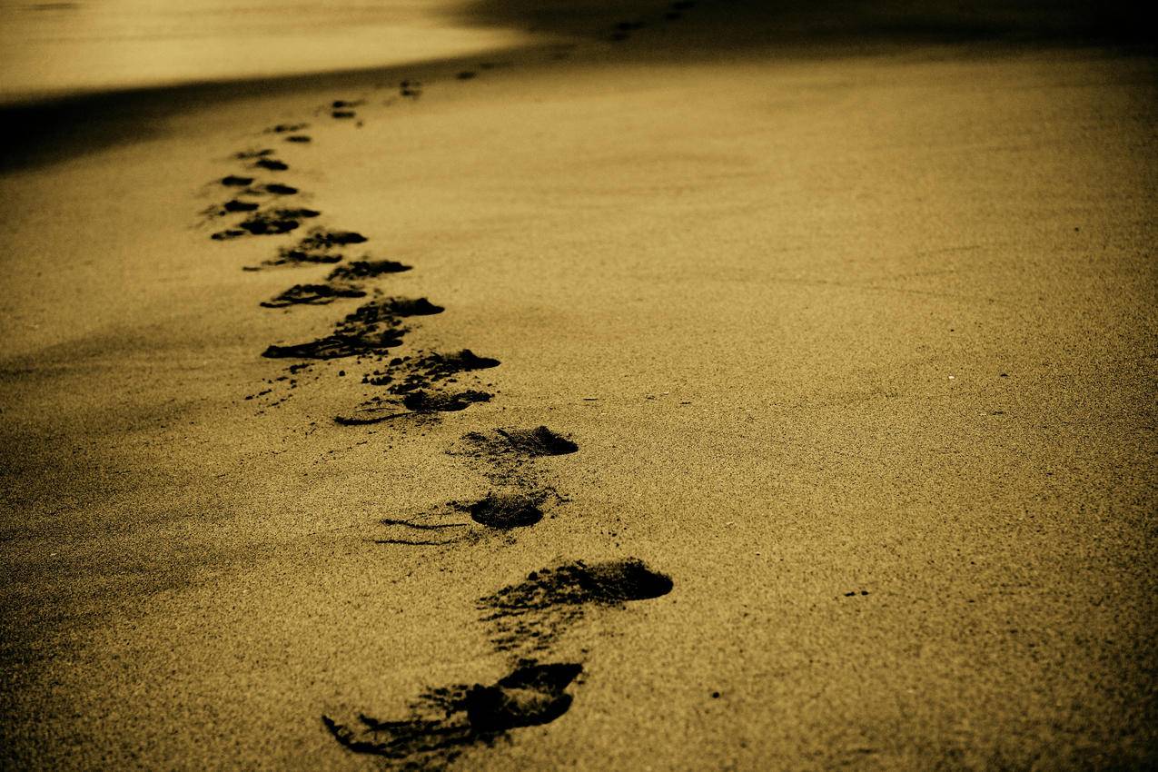 脚步,足迹,海滩,走,岸上,自然5K壁纸