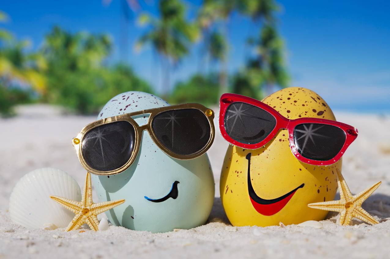 夏天,海滩,蛋,搞笑表情,眼镜,海星,贝壳,6K壁纸