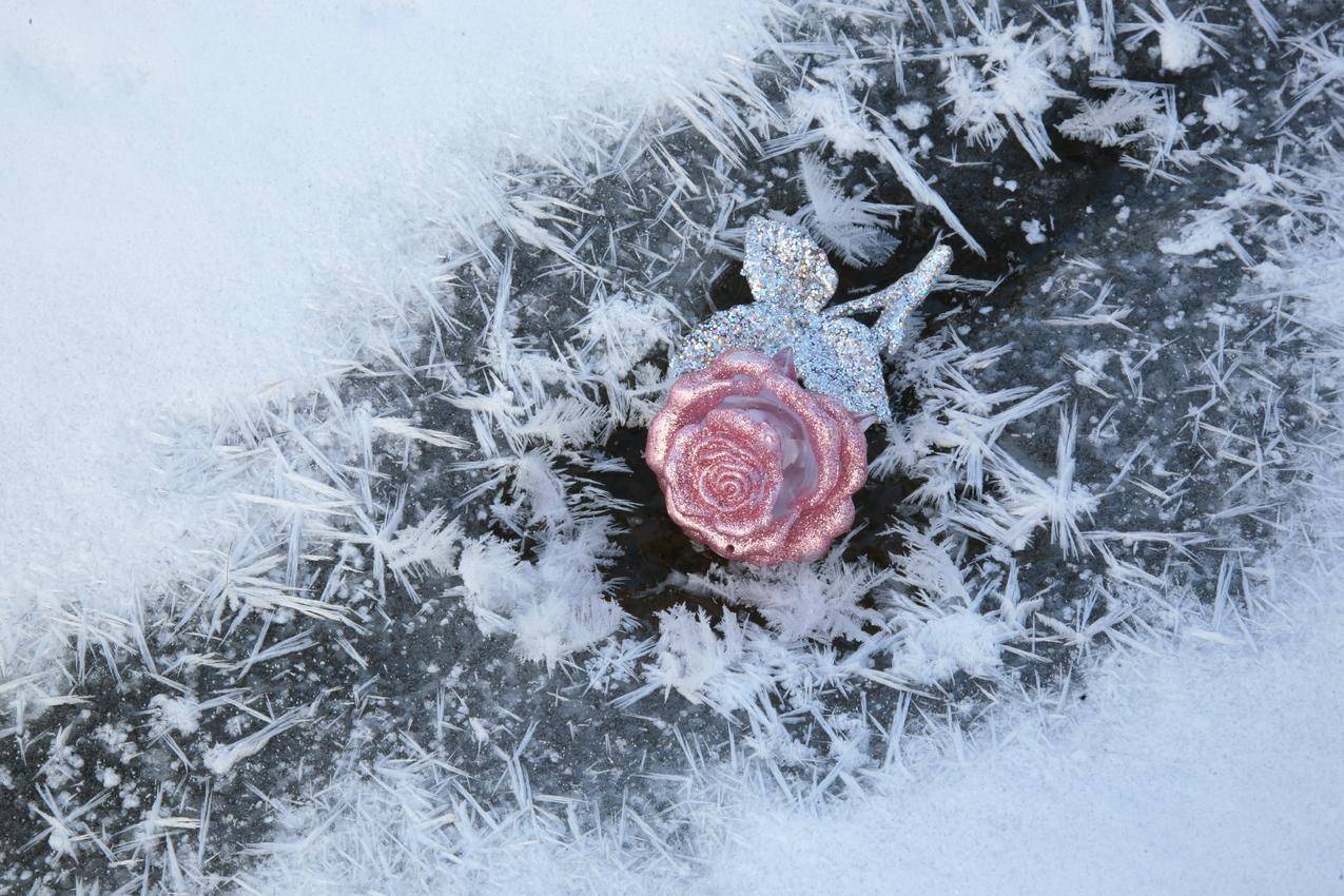 冬季,冰,水晶,玫瑰,4K壁纸