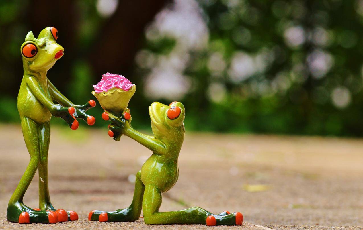青蛙王子的求婚玫瑰花卡通创意图片