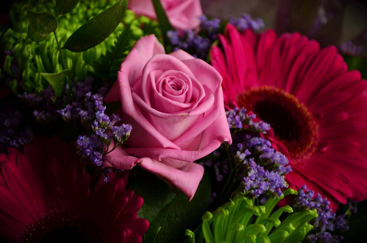 玫瑰,粉红色,花束,生日,母亲节,玫瑰绽放,丰富多彩,4k壁纸图片