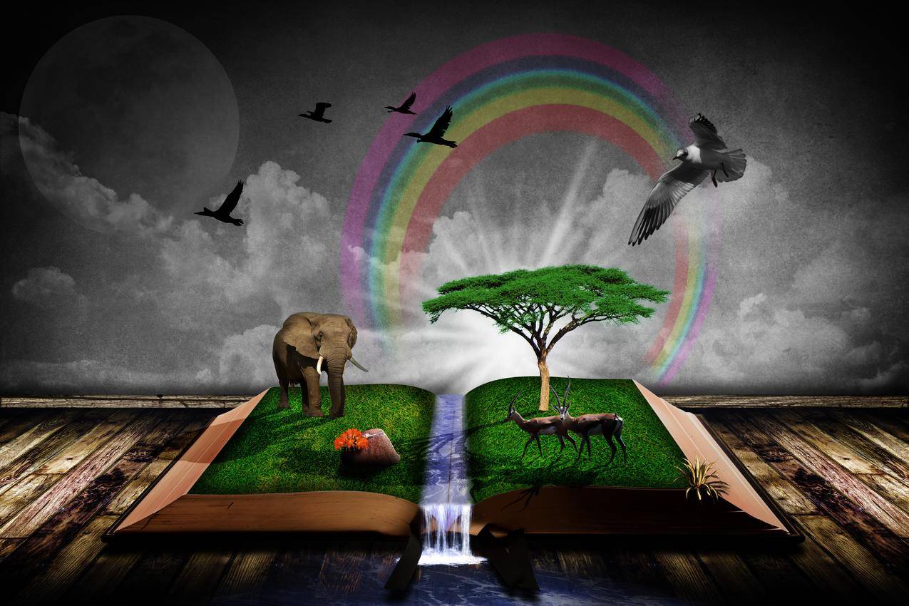 书本,幻想,鸟类,象,非洲丛林,象,动物,云,彩虹,创意,艺术,设计,5K图片