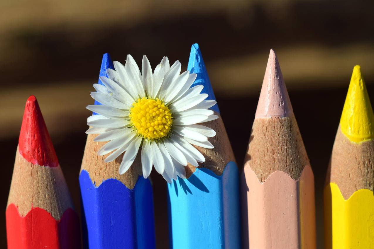 钢笔,木衣夹,彩色的铅笔4k图片