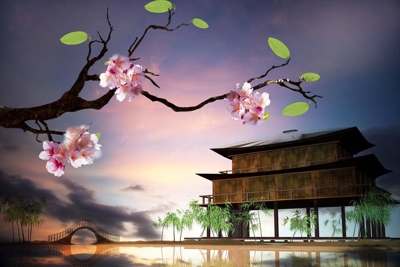 日本樱花,房子,唯美8k背景图片