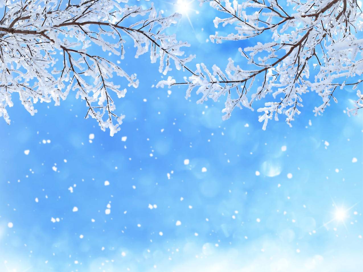 冬季,天空,雪花,树枝,蓝色背景,5k图片