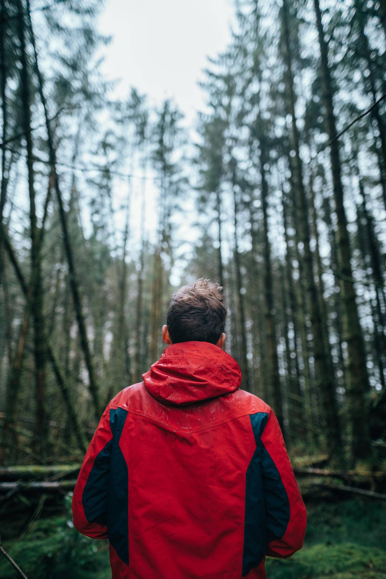 Man,Wearing,Black和红夹克在森林中的摄影