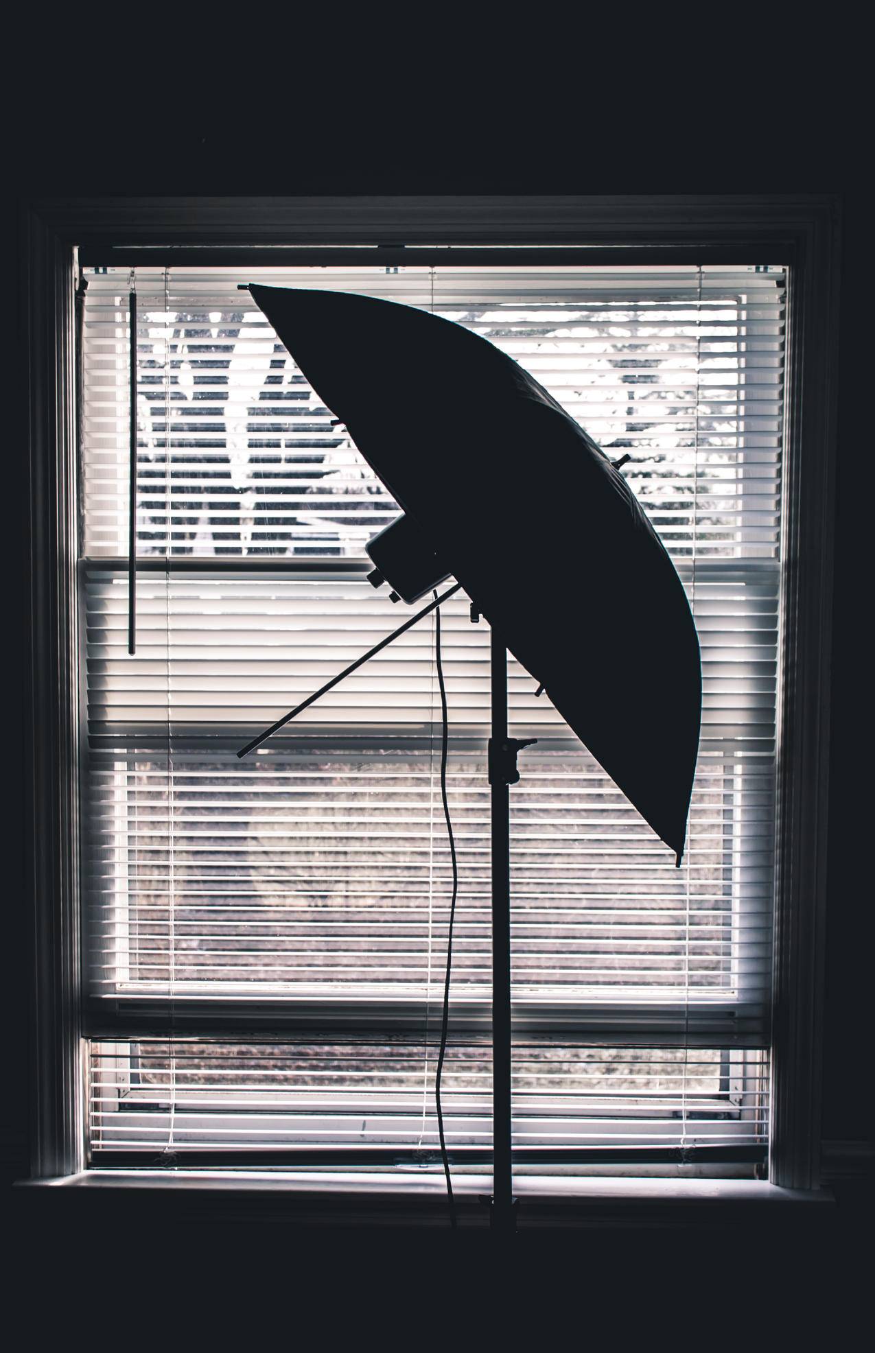 房间内白色窗户百叶窗的演播室伞剪影