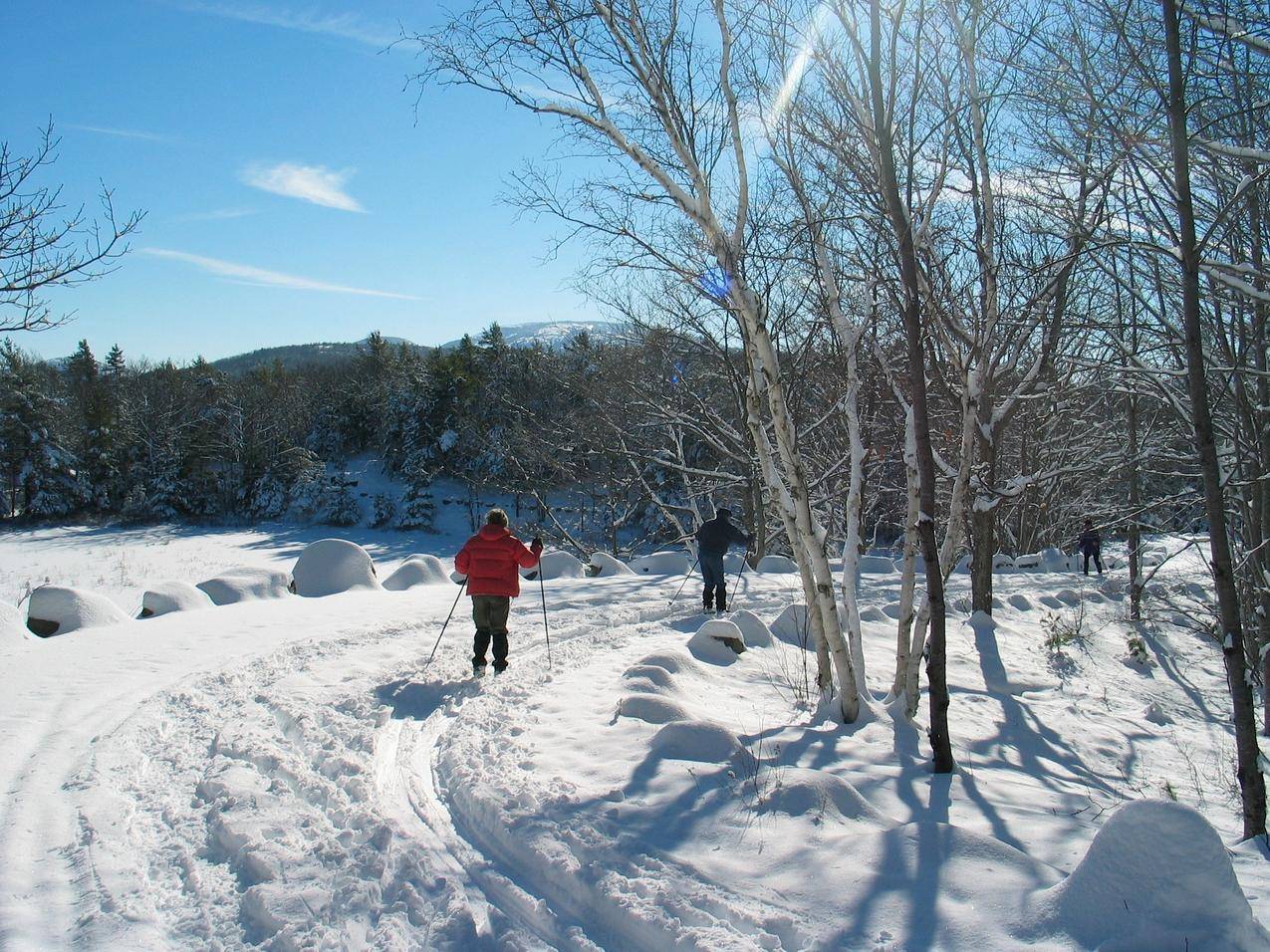 冬天雪地上滑雪的人