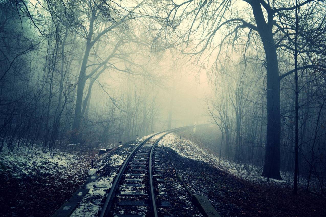 森林里的铁路梦幻意境图片