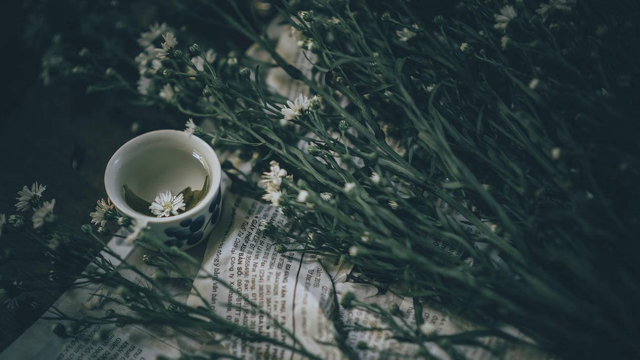 白色茶花旁的陶瓷茶杯