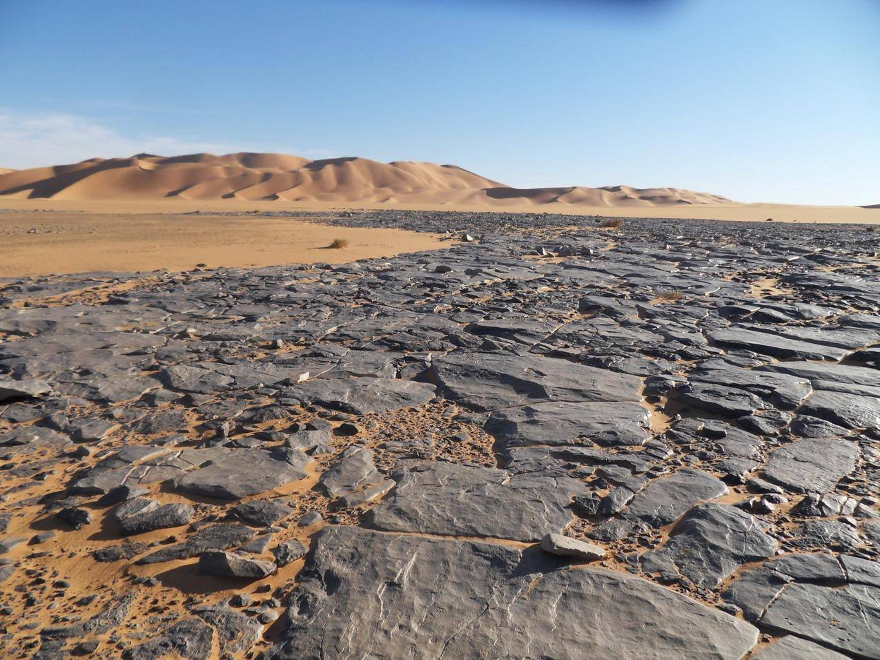 沙漠中的石板路