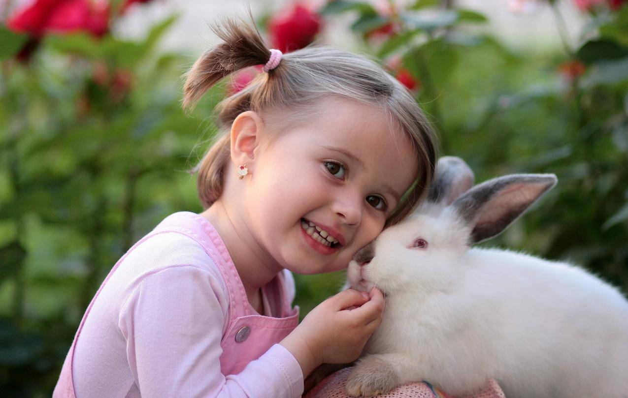 白天抱白兔的女孩