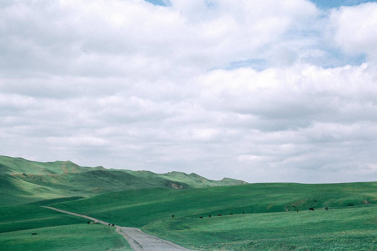 山丘草原风景高清图片