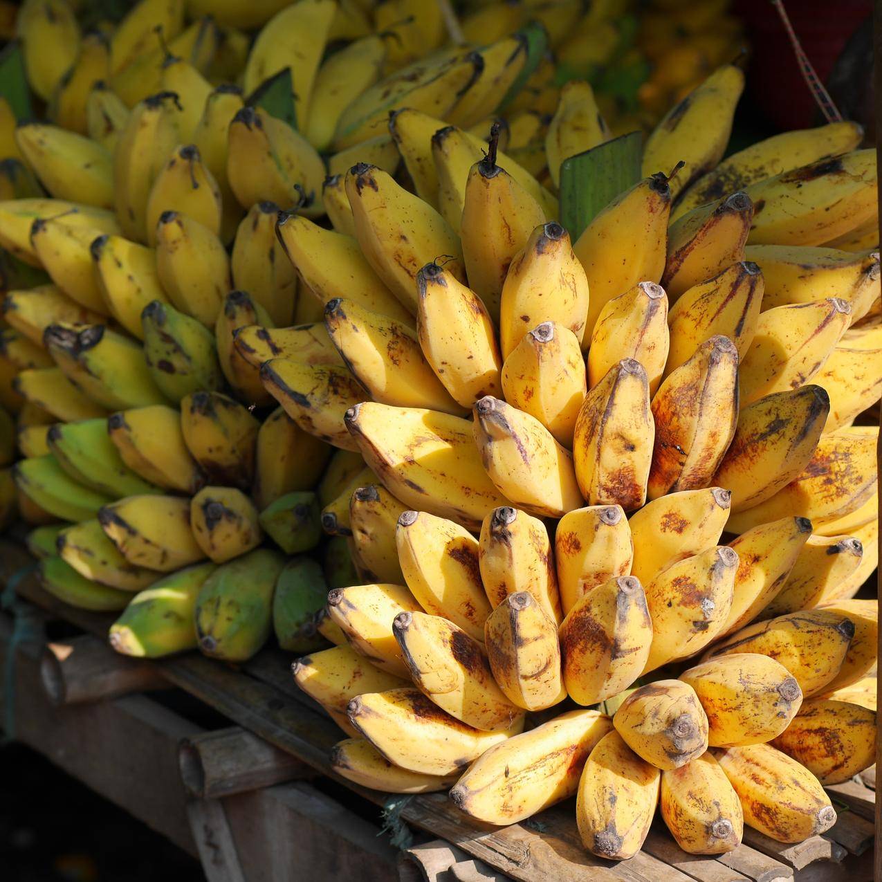 cc0可商用高清食品,水果,香蕉,成熟图片