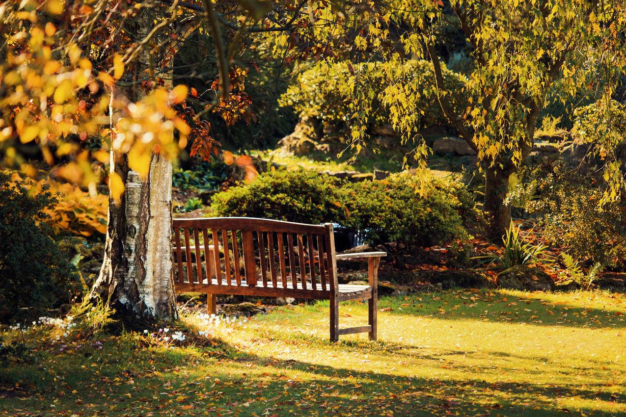 长凳,风景,自然,花园cc0可商用高清大图