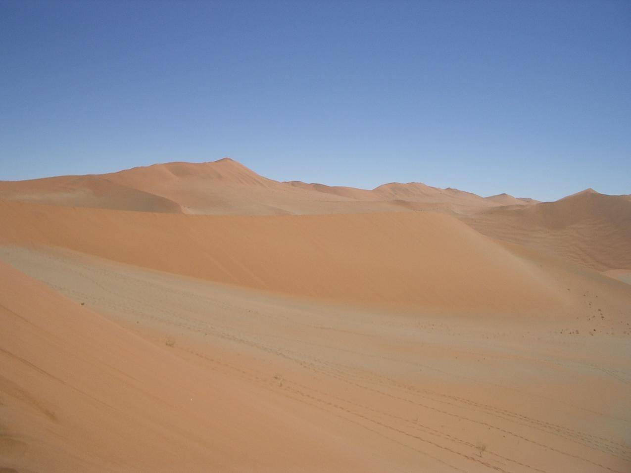 沙漠中的沙丘高清图片
