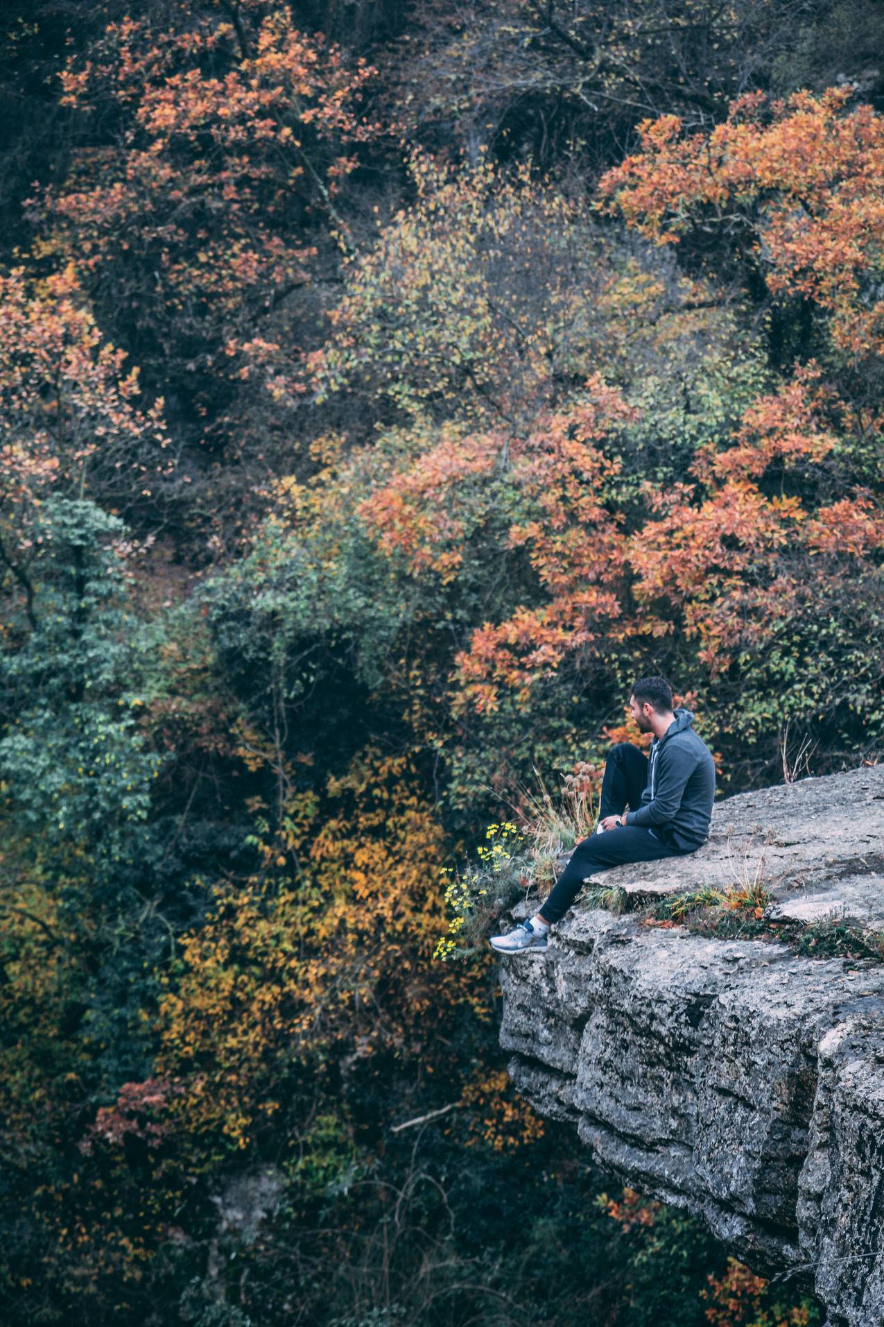 身穿黑色裤兜的人穿着黑色裤子坐在绿叶红树林上的石崖上
