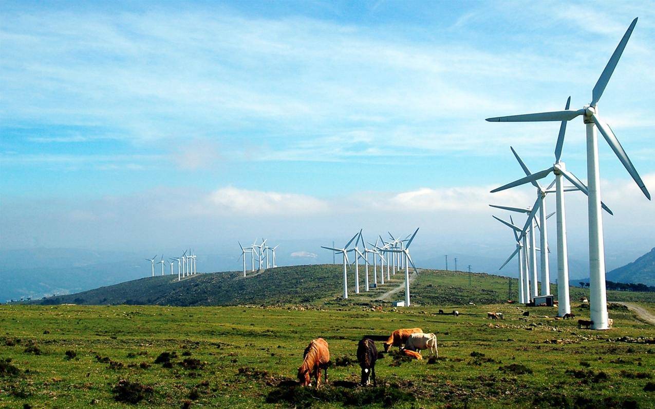 牧场的风力发电风车图片