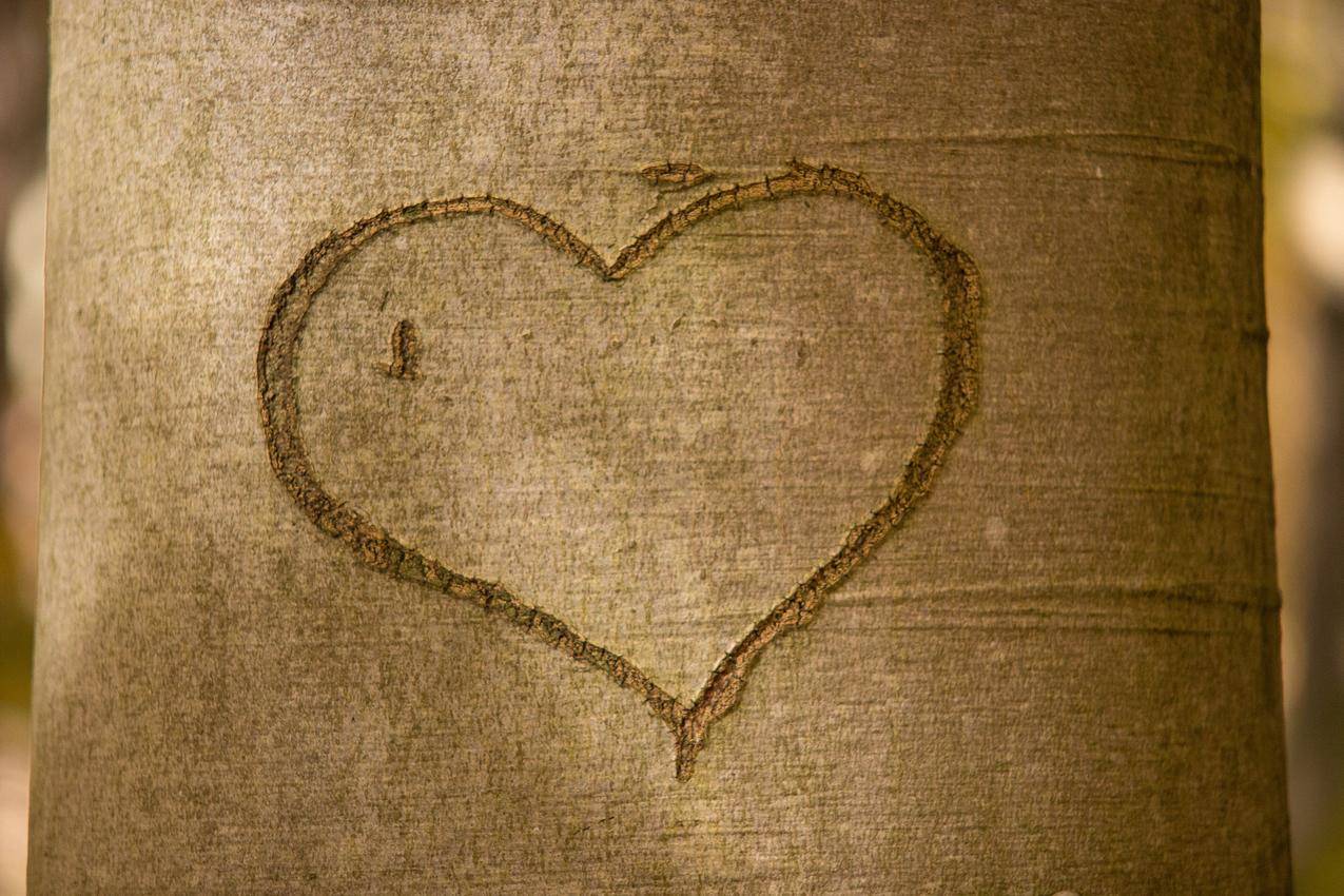 木头,爱情,艺术,心灵的免费照片