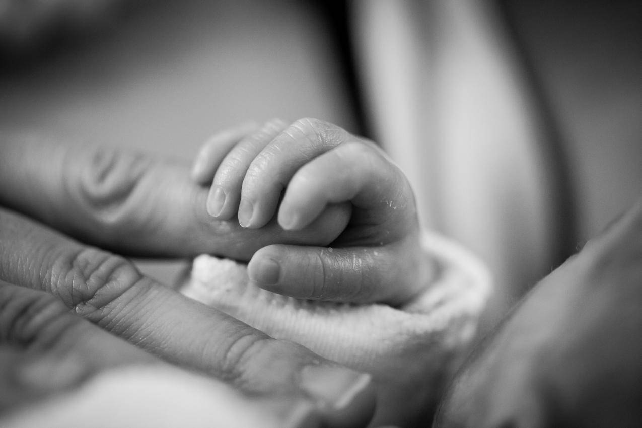 婴儿握持手指的灰度摄影
