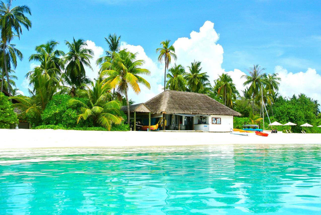夏天的马尔代夫海边的小茅屋与椰子树图片