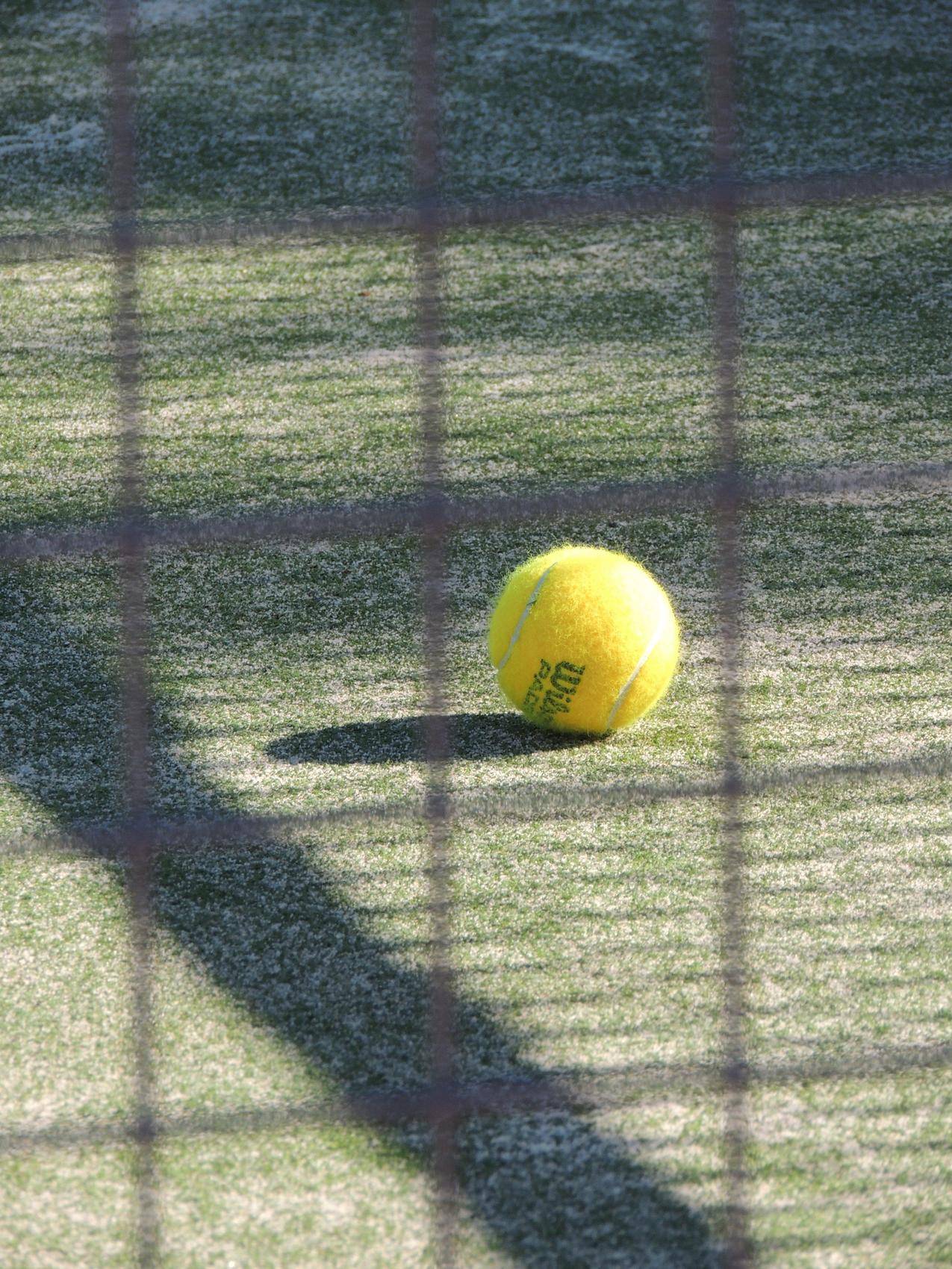 白天绿草地上的网球