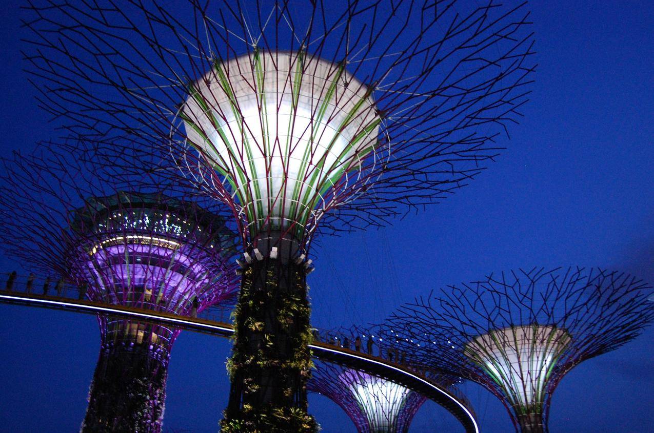 新加坡滨海湾花园的夜景