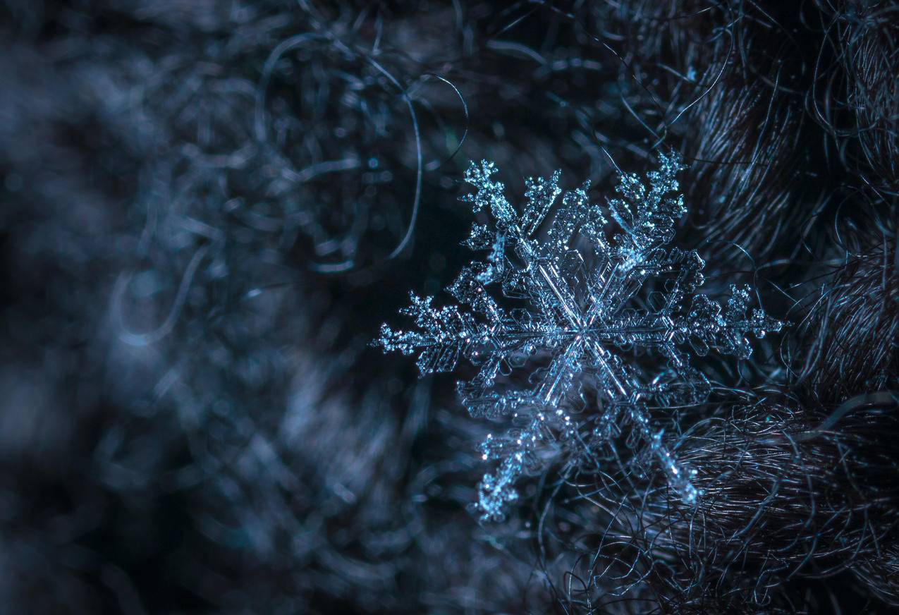 雪花的宏观摄影