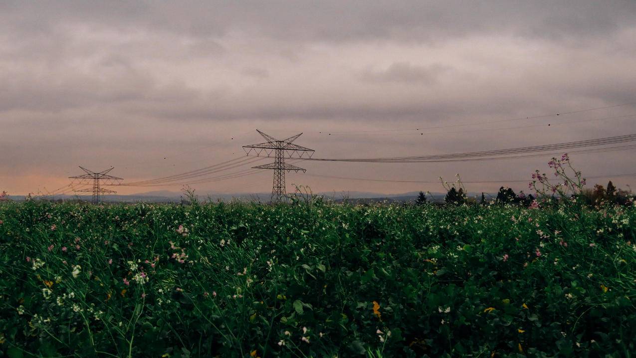 田野风景