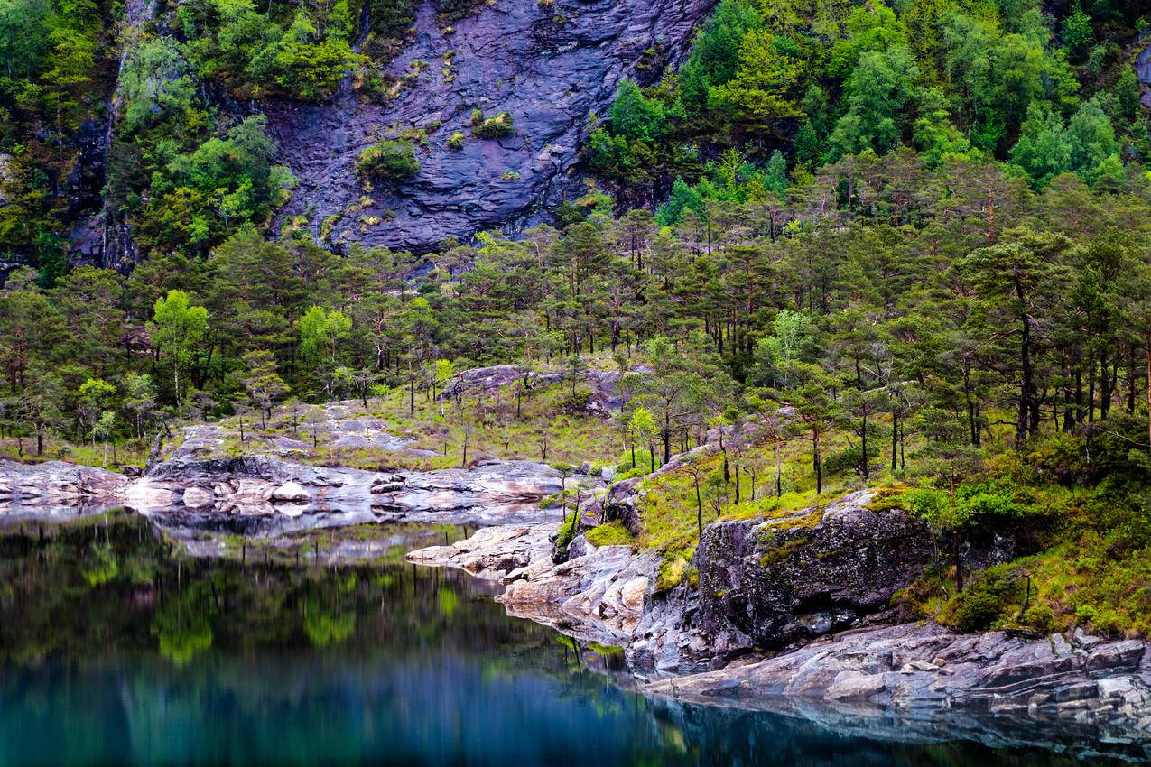 湖心岛和树木的风景摄影