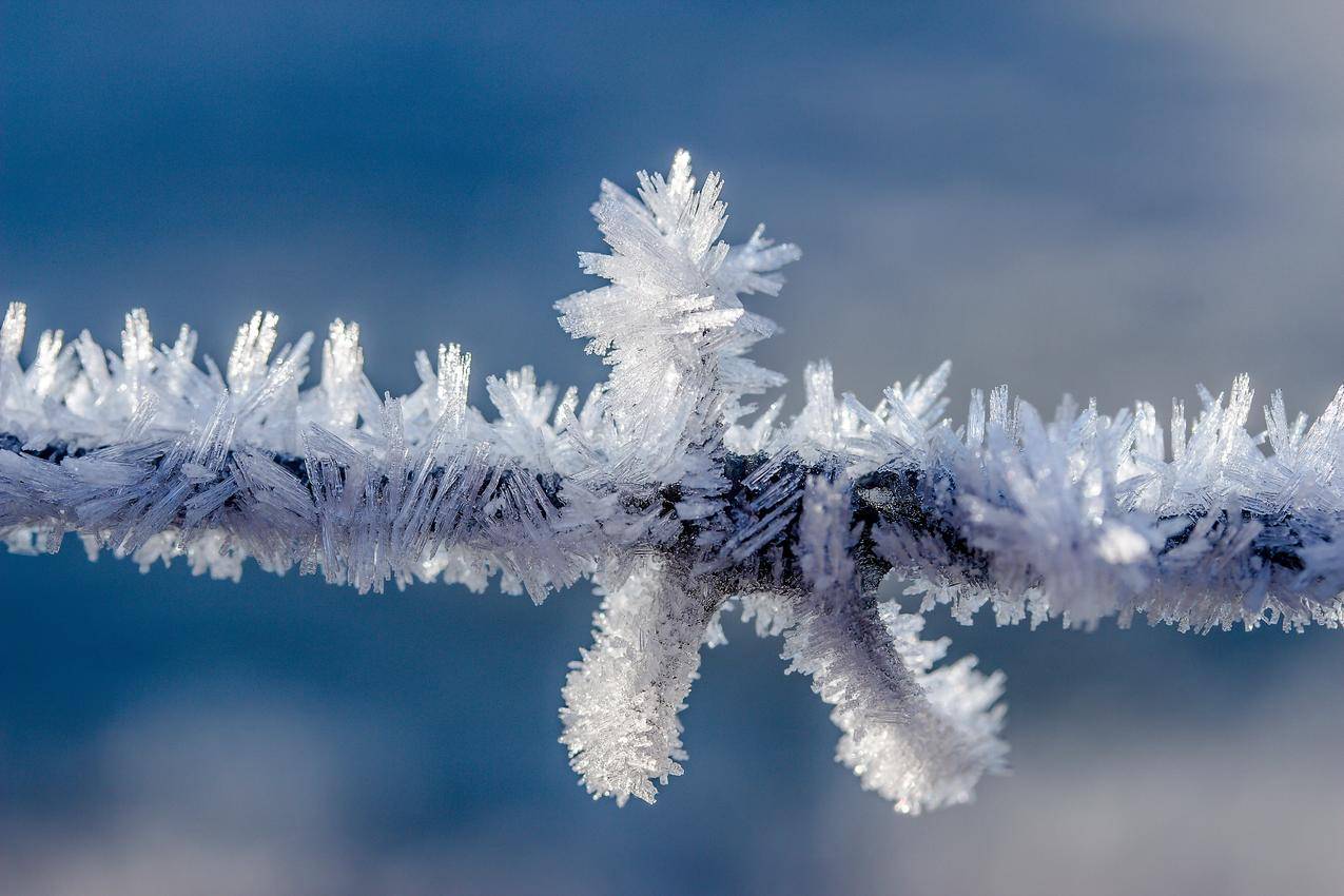 cc0可商用高清图片,冷,雪,天气,冬天