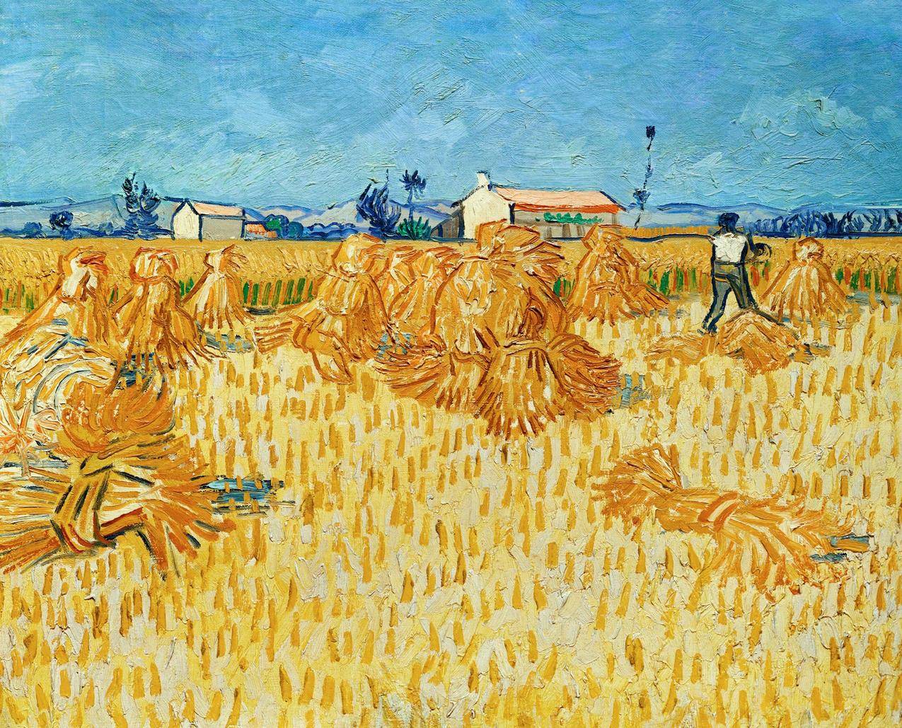 Wheat Field, 1888 - Vincent van Gogh - WikiArt.org
