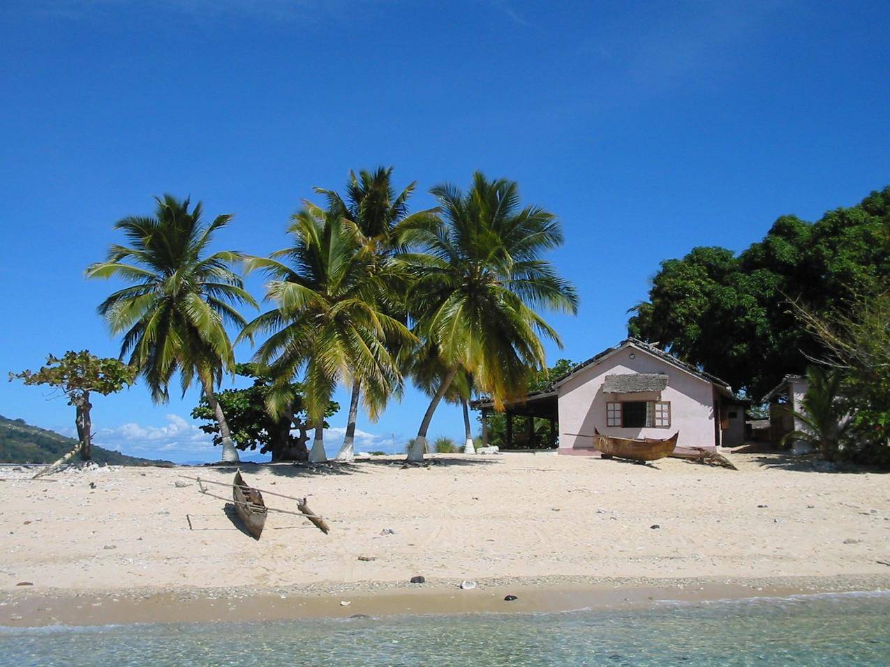 海边的房子,椰子树树图片