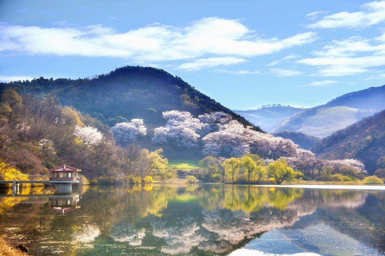 风景,自然,天空,水的cc0可商用高清大图