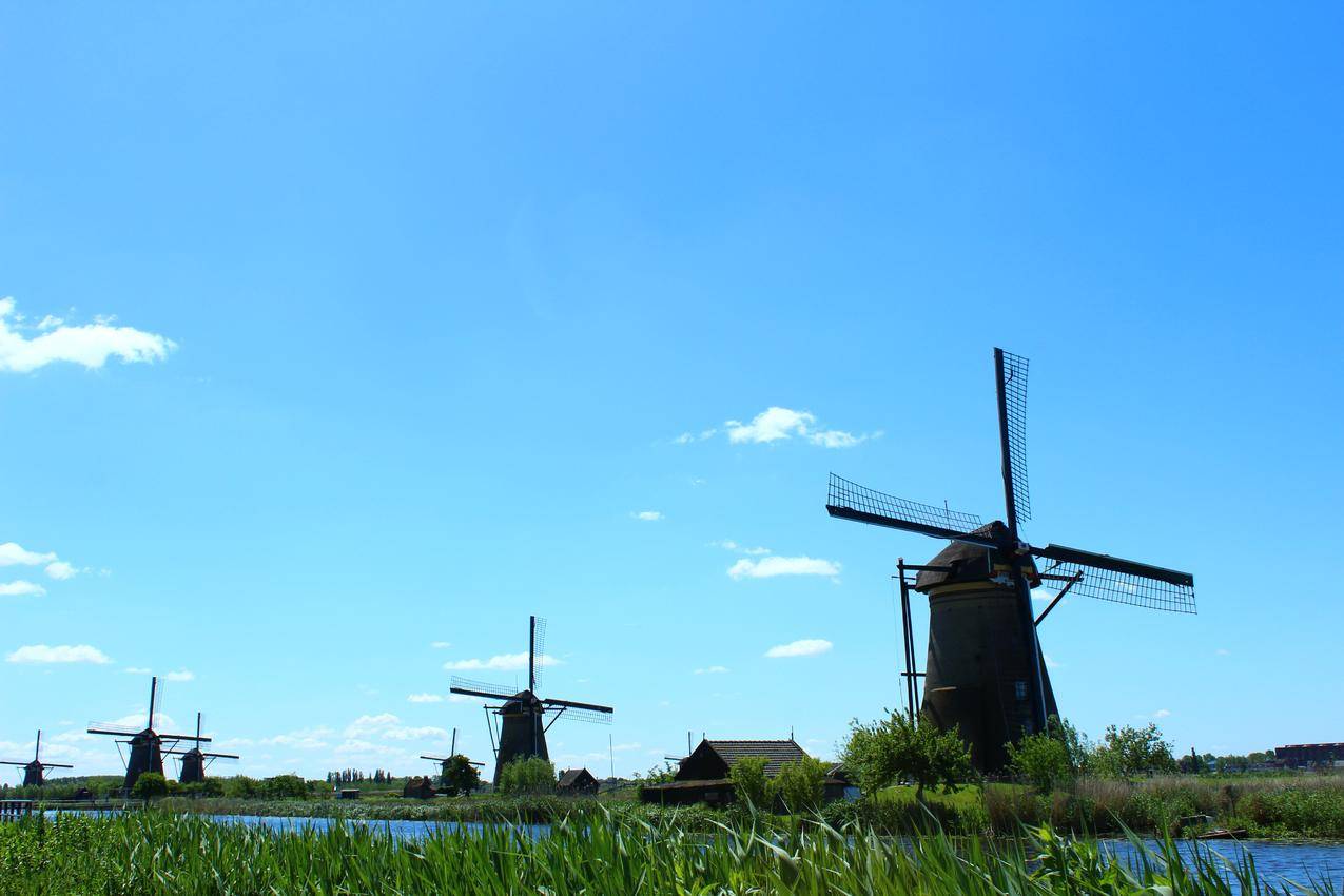 蓝天下荷兰风车景观图片