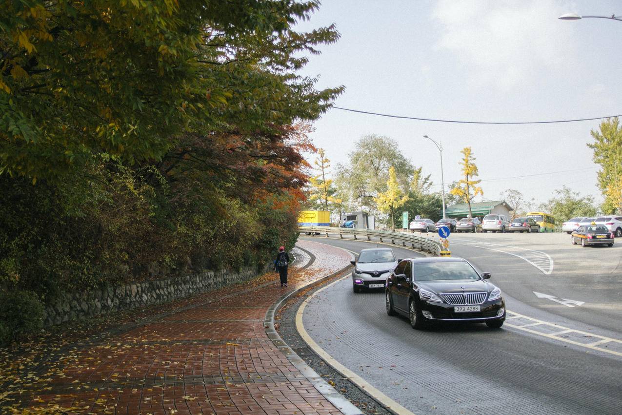 汽车,道路,交通,车辆cc0可商用高清大图