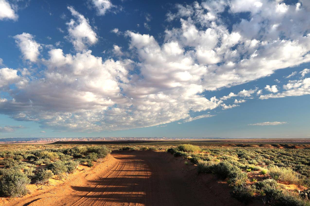 白天在灰色的多云天空下绿叶植物之间的棕色沙漠路
