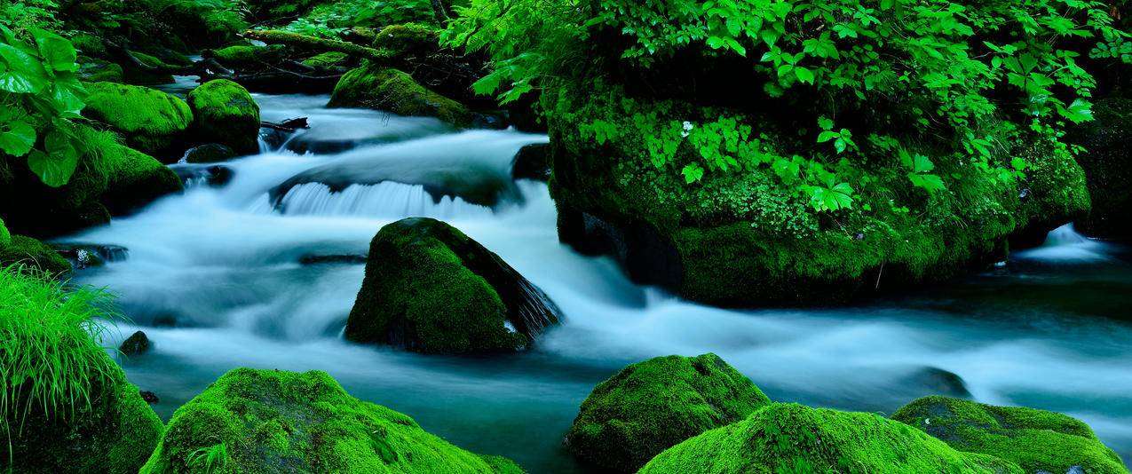 绿色峡谷3440x1440风景壁纸