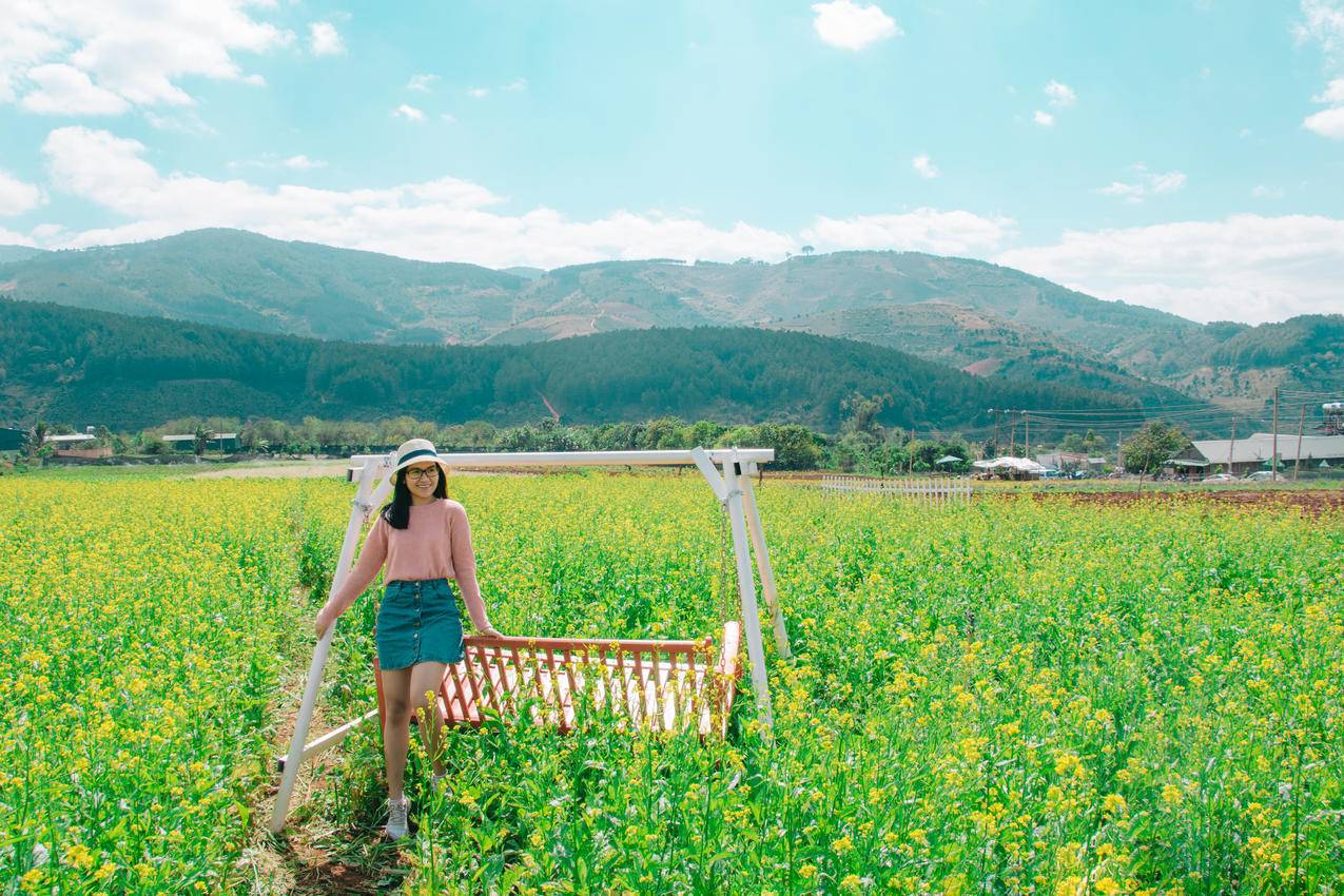 坐在棕色和白色树冠上的女人被Green,Grass包围