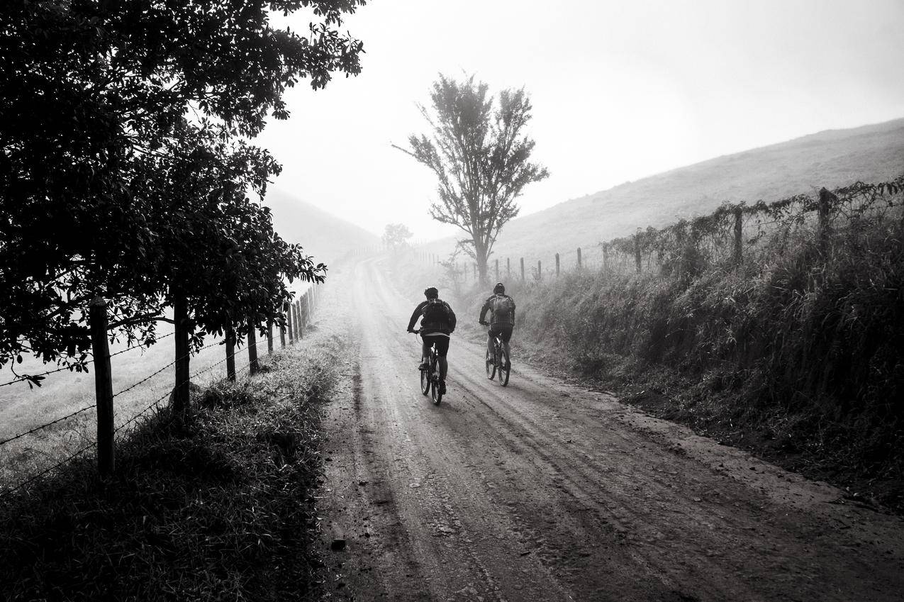双人自行车的灰度摄影