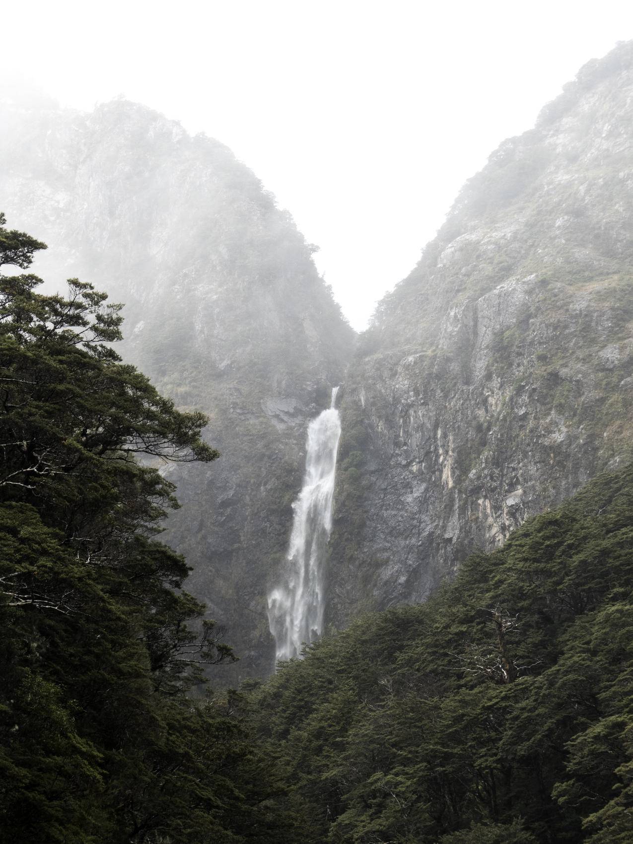 山,自然,森林,树木cc0可商用高清图片